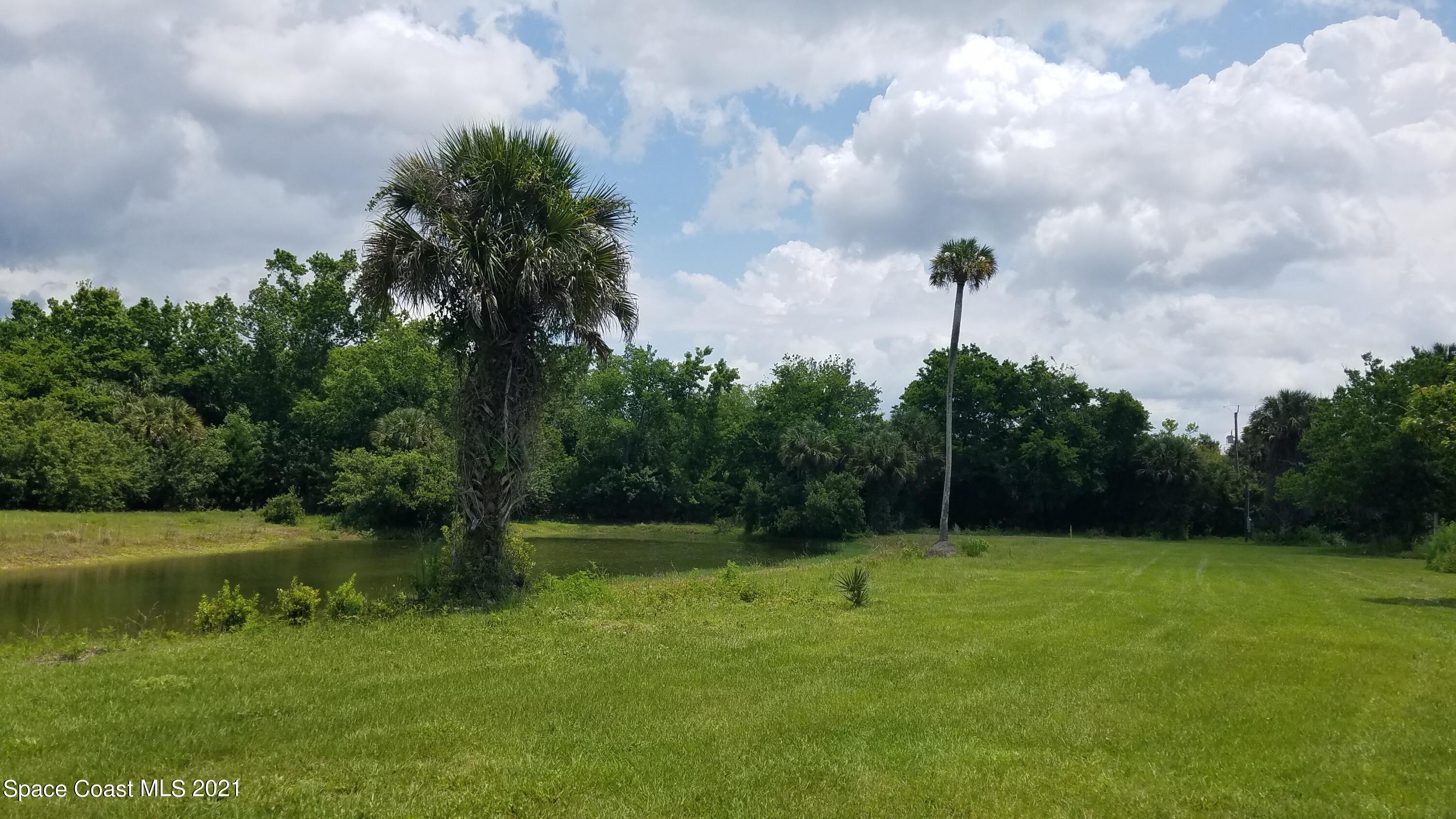 1560 County Line Road Oak Hill, FL 32759 - Photo 9 of 22 Looking East