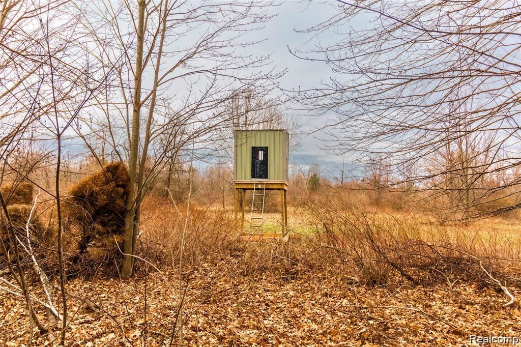 3824 Jefferson Road North Branch, MI 48461 - Photo 44 of 47 Tower blind by Food Plot.jpg