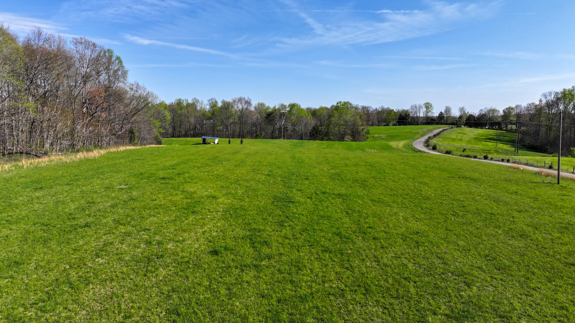 3164 Parks Ridge Road Russell Springs, KY 42642 - Photo 4 of 16 20250417203953299274000000-o