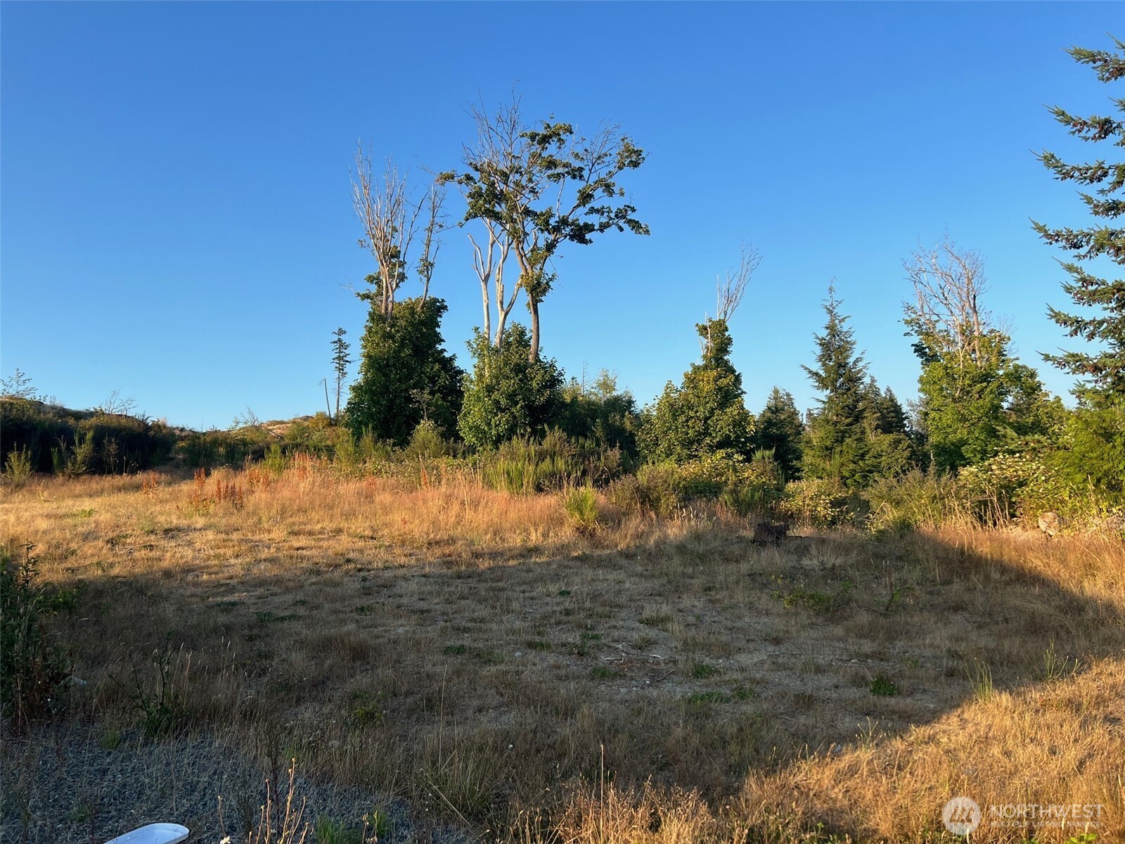 7006 State Rte 20 Anacortes, WA 98221 - Photo 17 of 21