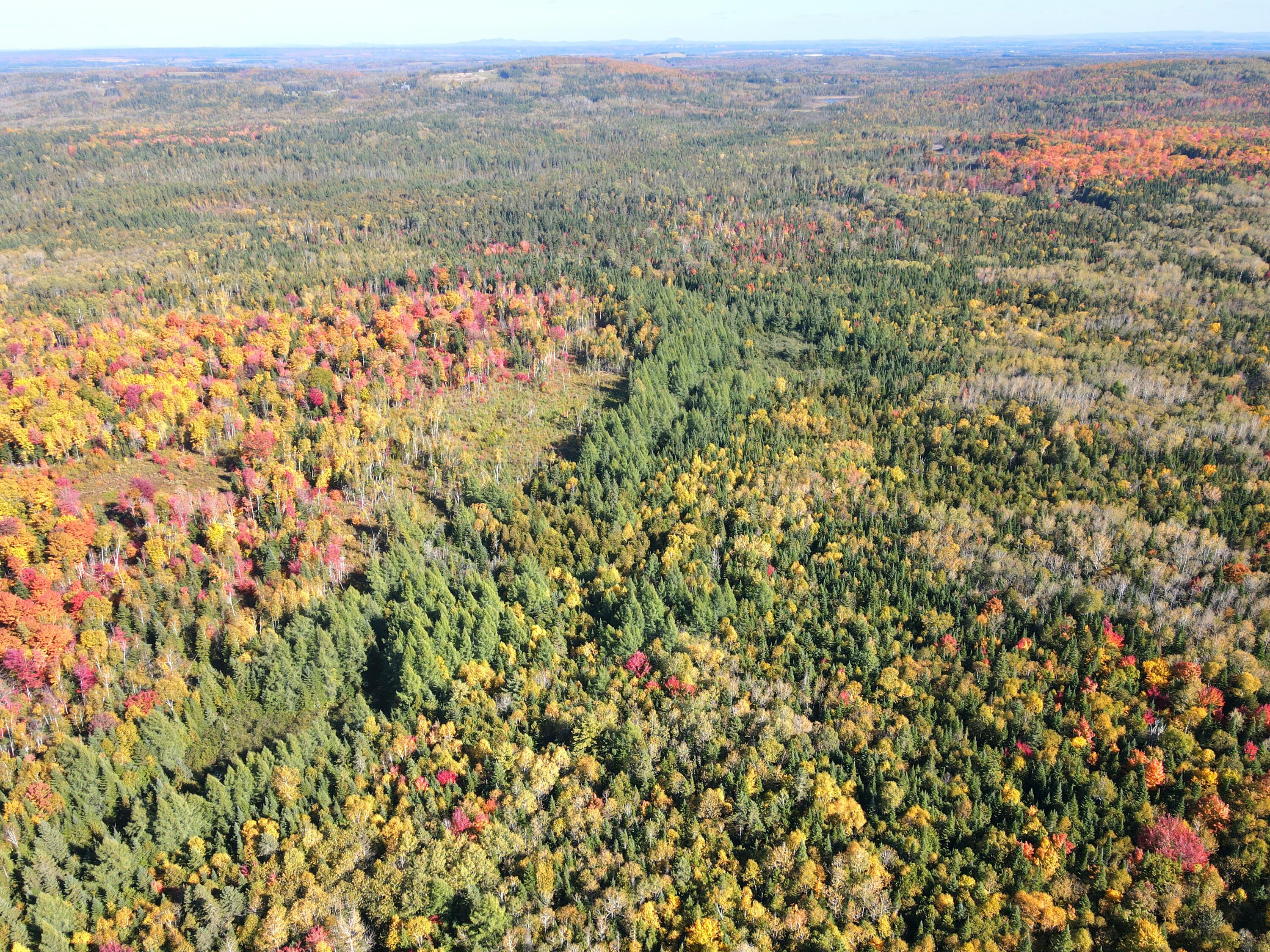 Lot 97 New Sweden Road New Sweden, ME 04762 - Photo 13 of 26 IMG_2769