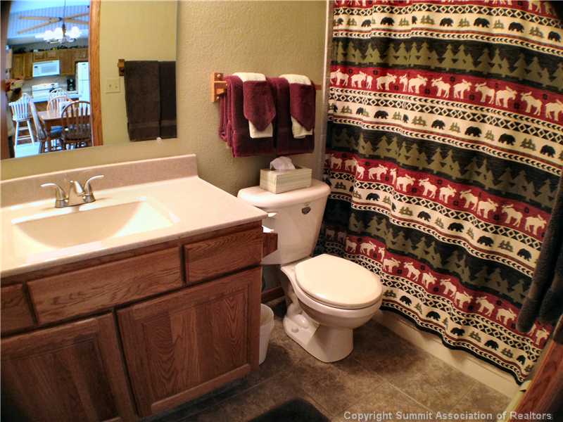 89310 Ryan Gulch Road, Unit 101 Silverthorne, CO 80498 - Photo 13 of 25 Bathroom.