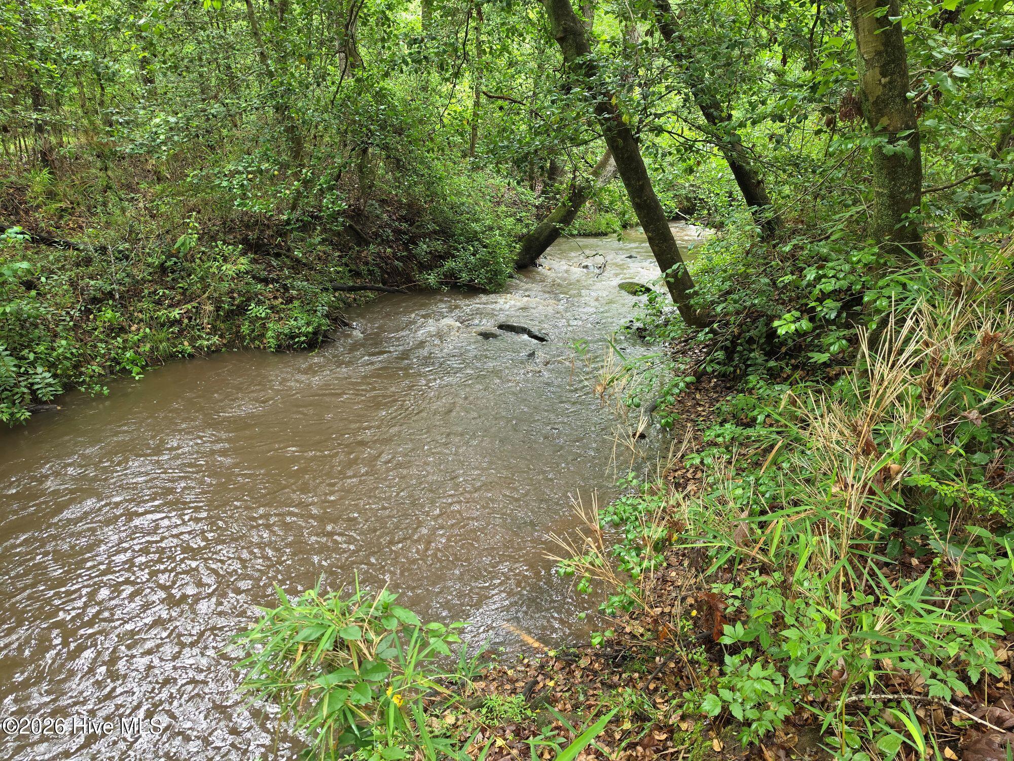 480 Mt Pleasant Road Ridge Spring, SC 29129 - Photo 11 of 29 creek1