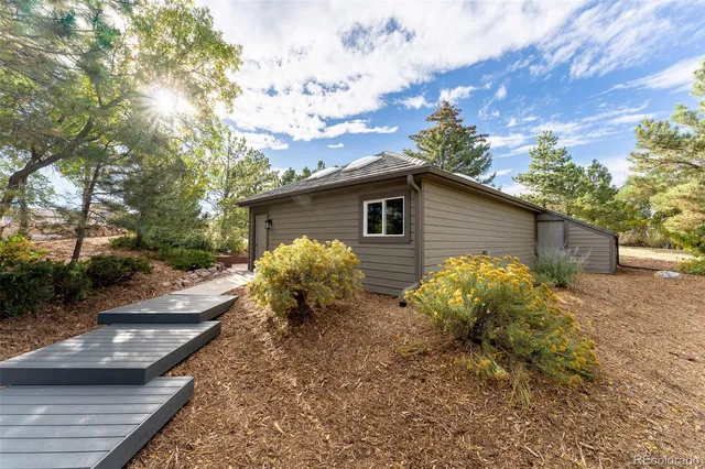 a view of a backyard with plants and tree