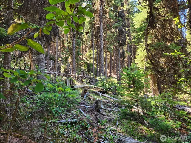 a view of a house with a mountain in the background