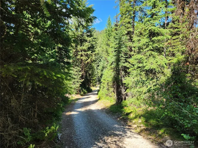 a view of mountains in the distance