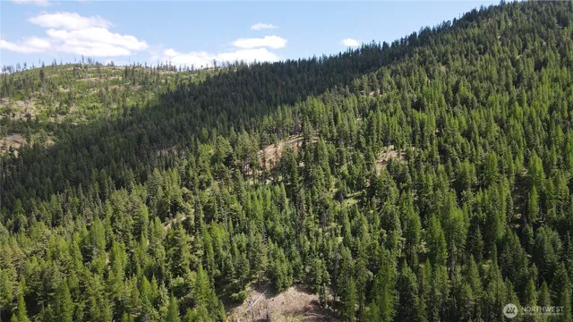 $96,500 | -xx East Fork Cougar Crk Road, Wauconda, WA 98859