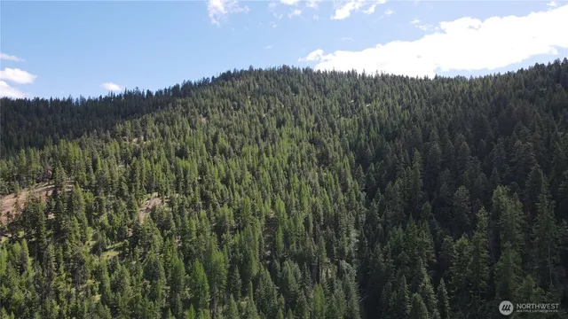 $96,500 | -xx East Fork Cougar Crk Road, Wauconda, WA 98859