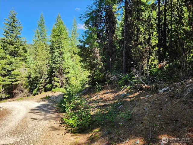 a view of a garden with plants