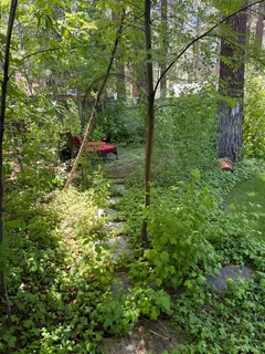 $1,595,000 | 962 Modesto Avenue, South Lake Tahoe, CA 96150