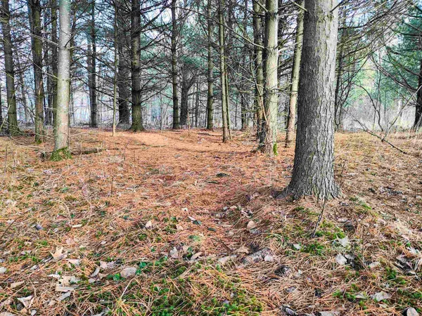 $227,500 | 7223 County Highway V, Marshfield, WI 54449