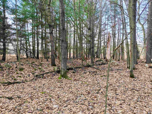 $227,500 | 7223 County Highway V, Marshfield, WI 54449