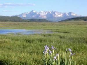 231 Big Valley Road Telluride, CO 81435 - Photo 1 of 5 Primary Photo