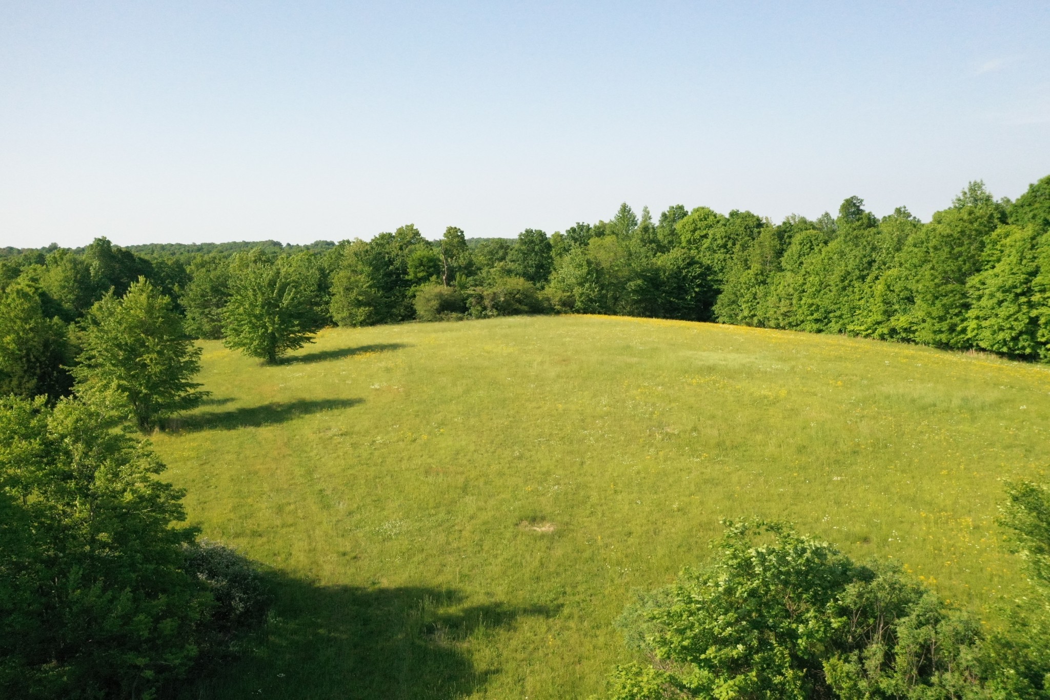 0 Rhea Branch Road Ethridge, TN 38456 - Photo 4 of 12 Gallery Image 4