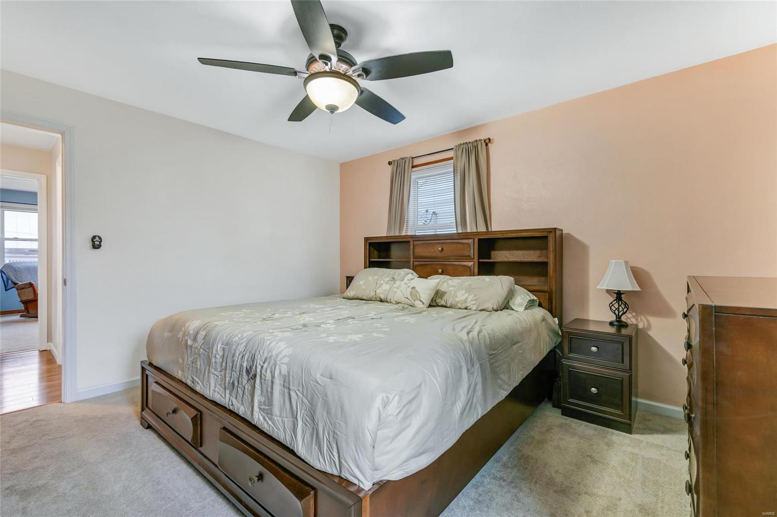 313 Walnut Street Waterloo, IL 62298 - Photo 14 of 33
