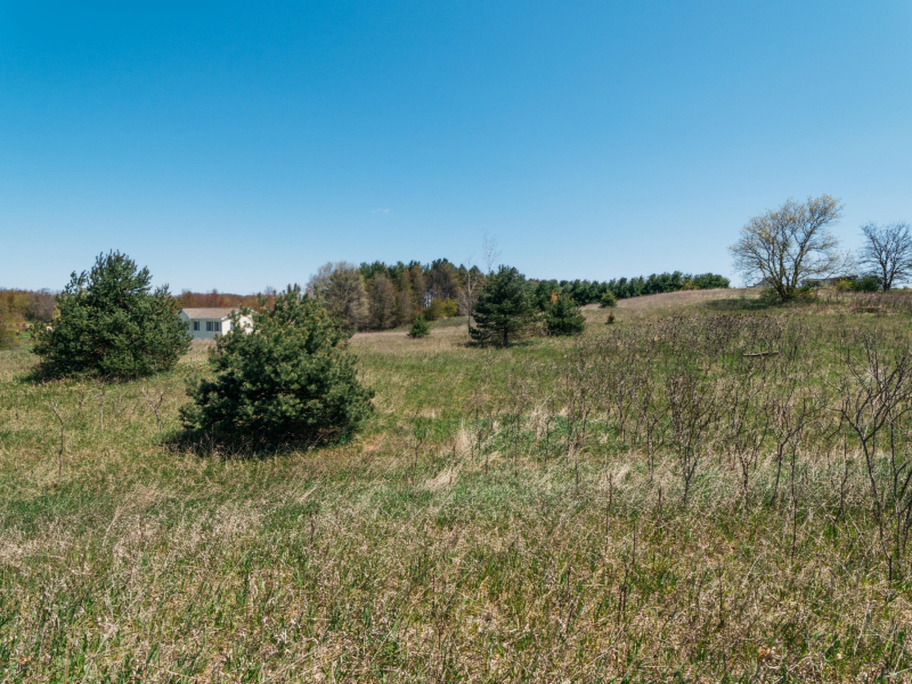 2979 Ridgecrest Drive Saranac, MI 48881 - Photo 12 of 24 P1033156-5