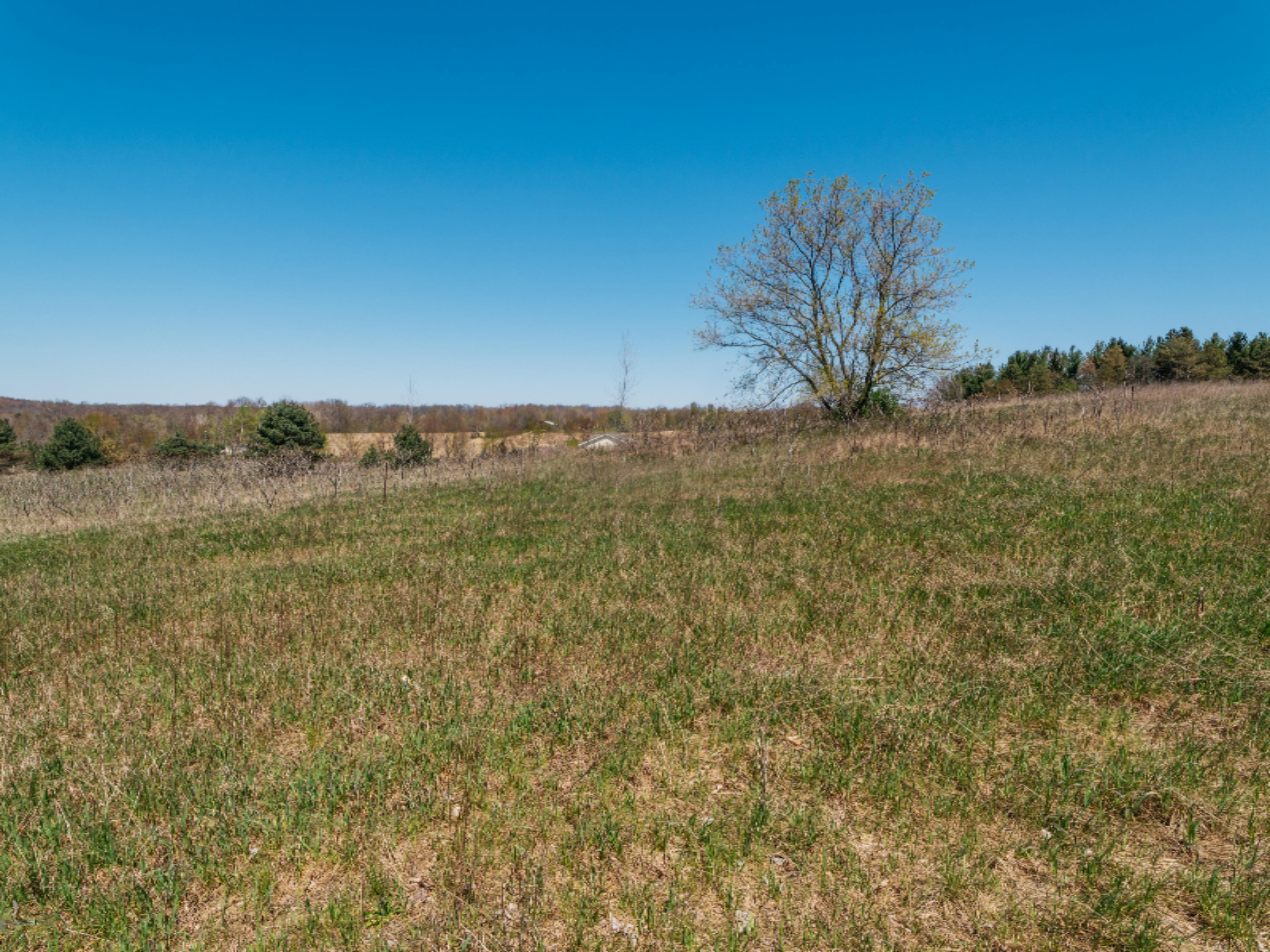 2979 Ridgecrest Drive Saranac, MI 48881 - Photo 17 of 24 P1033161-10