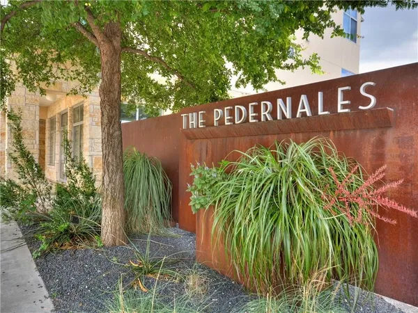 a view of outdoor space with plants and trees
