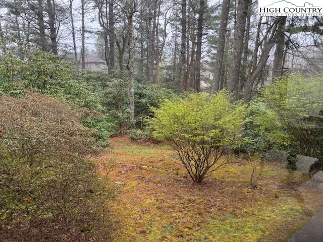 115 Edgewood Path Blowing Rock, NC 28605 - Photo 6 of 13