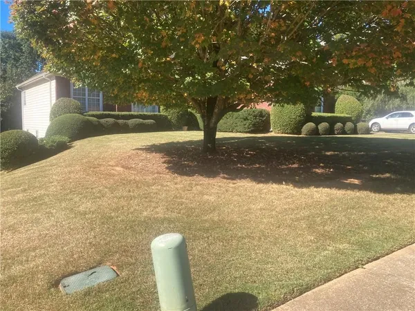 a view of a yard with plants and trees