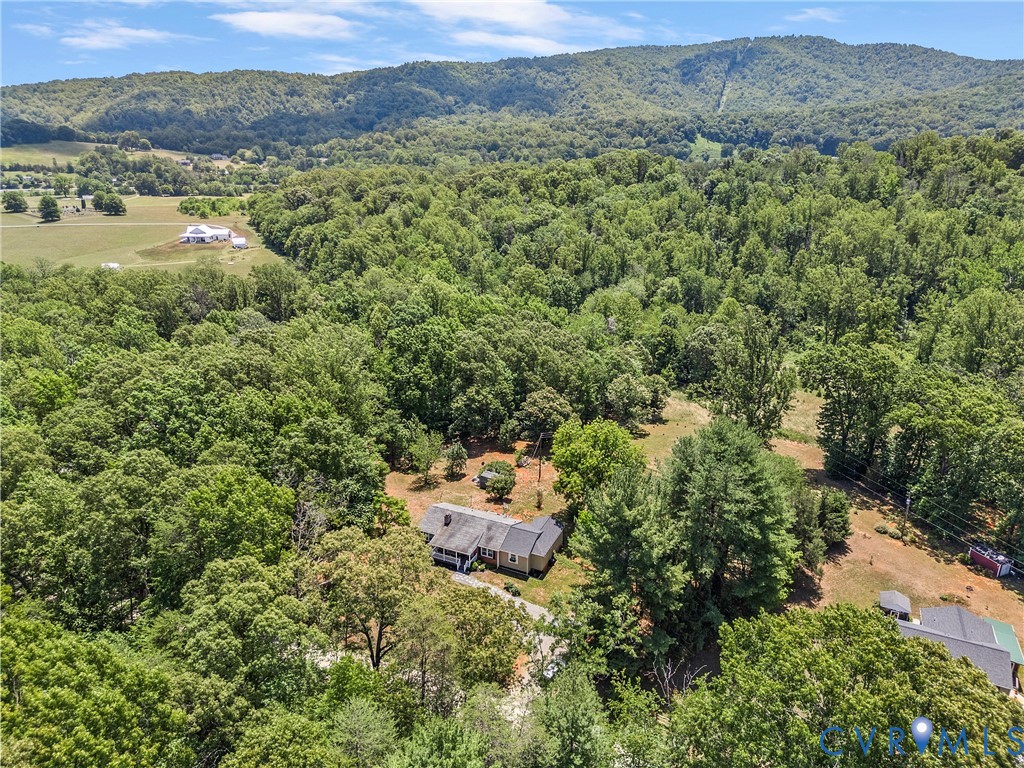 5949 Broken Sun Road Covesville, VA 22931 - Photo 44 of 48