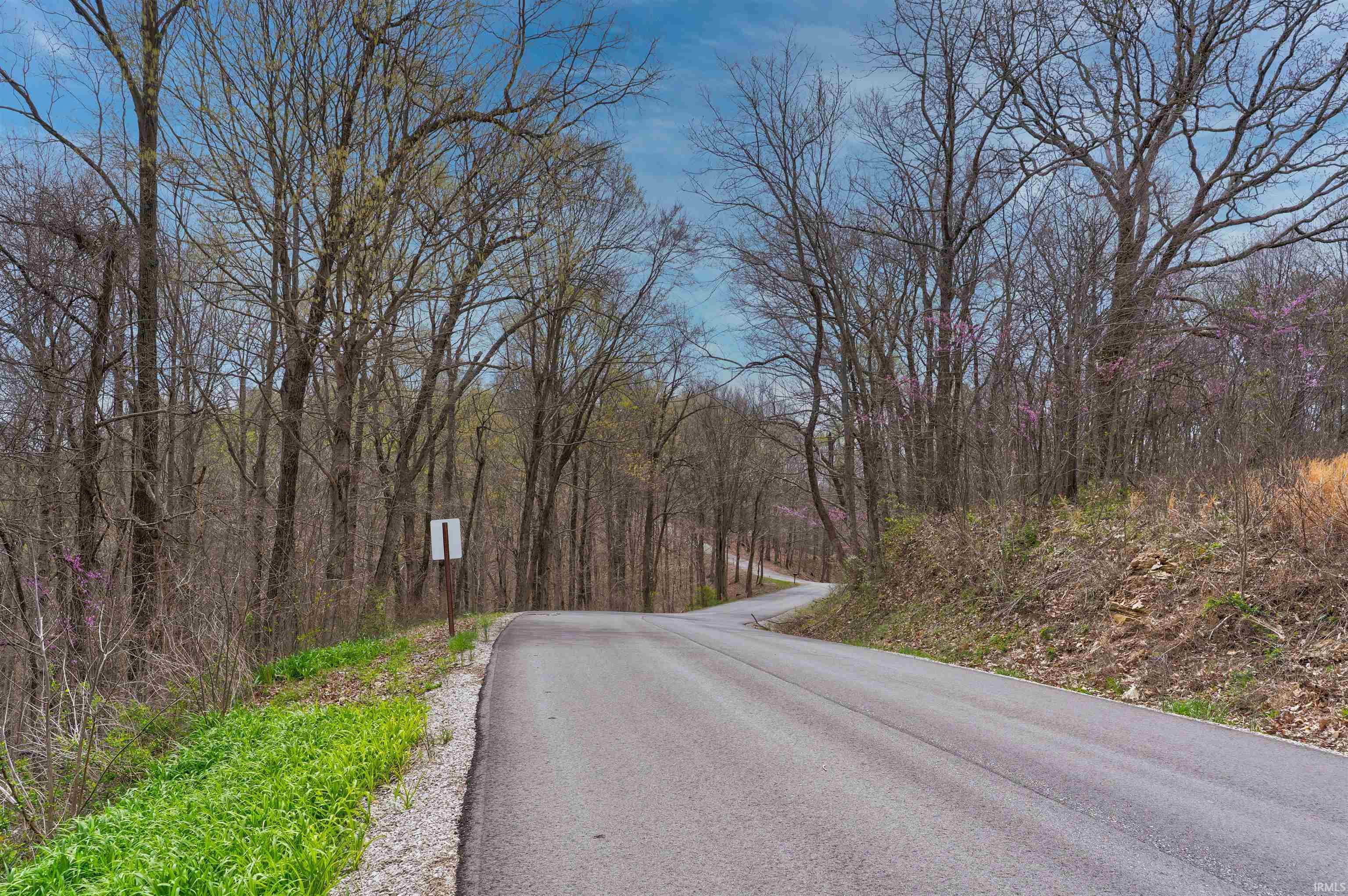 0 Brushy Fork Road Tell City, IN 47586 - Photo 4 of 30