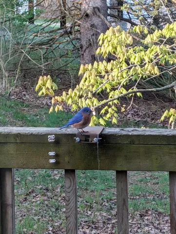 $449,900 | 13960 Paris Avenue North, Stillwater, MN 55082