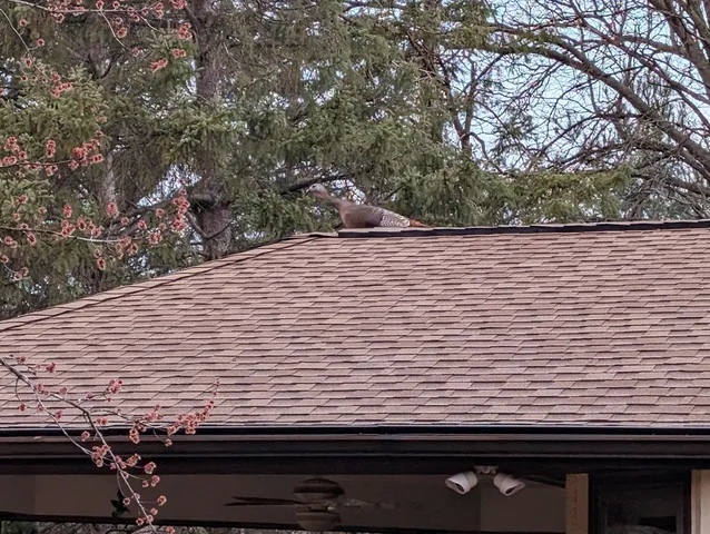 $449,900 | 13960 Paris Avenue North, Stillwater, MN 55082