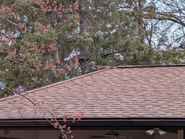 $449,900 | 13960 Paris Avenue North, Stillwater, MN 55082