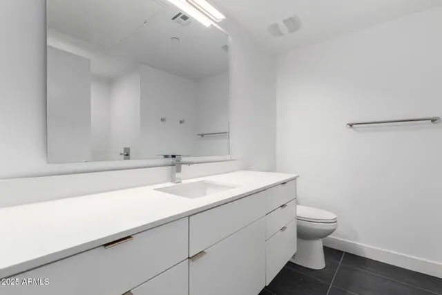 a bathroom with a sink and a toilet