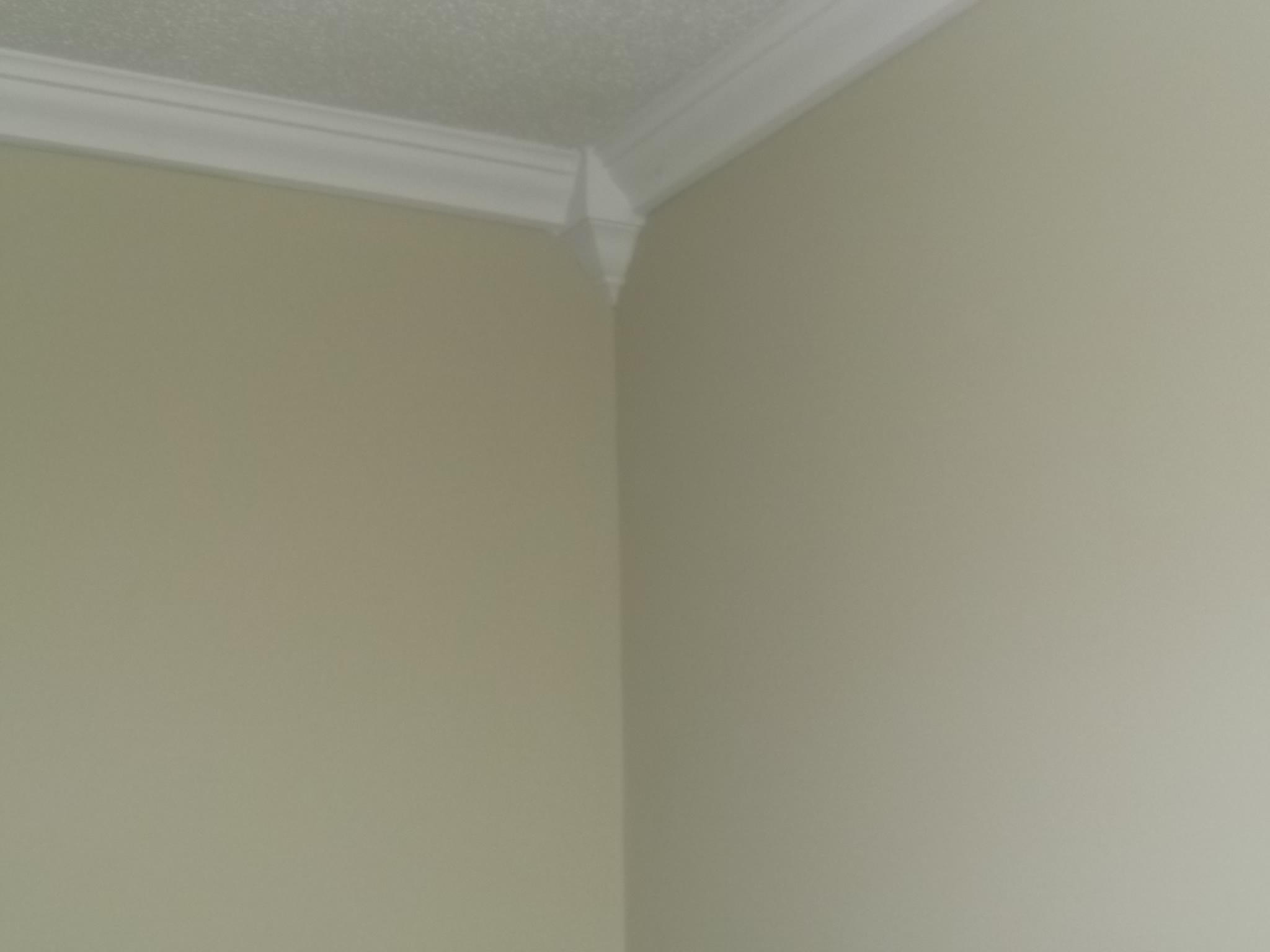 115 Nathan Road Summerville, SC 29486 - Photo 14 of 18 DSCF4537