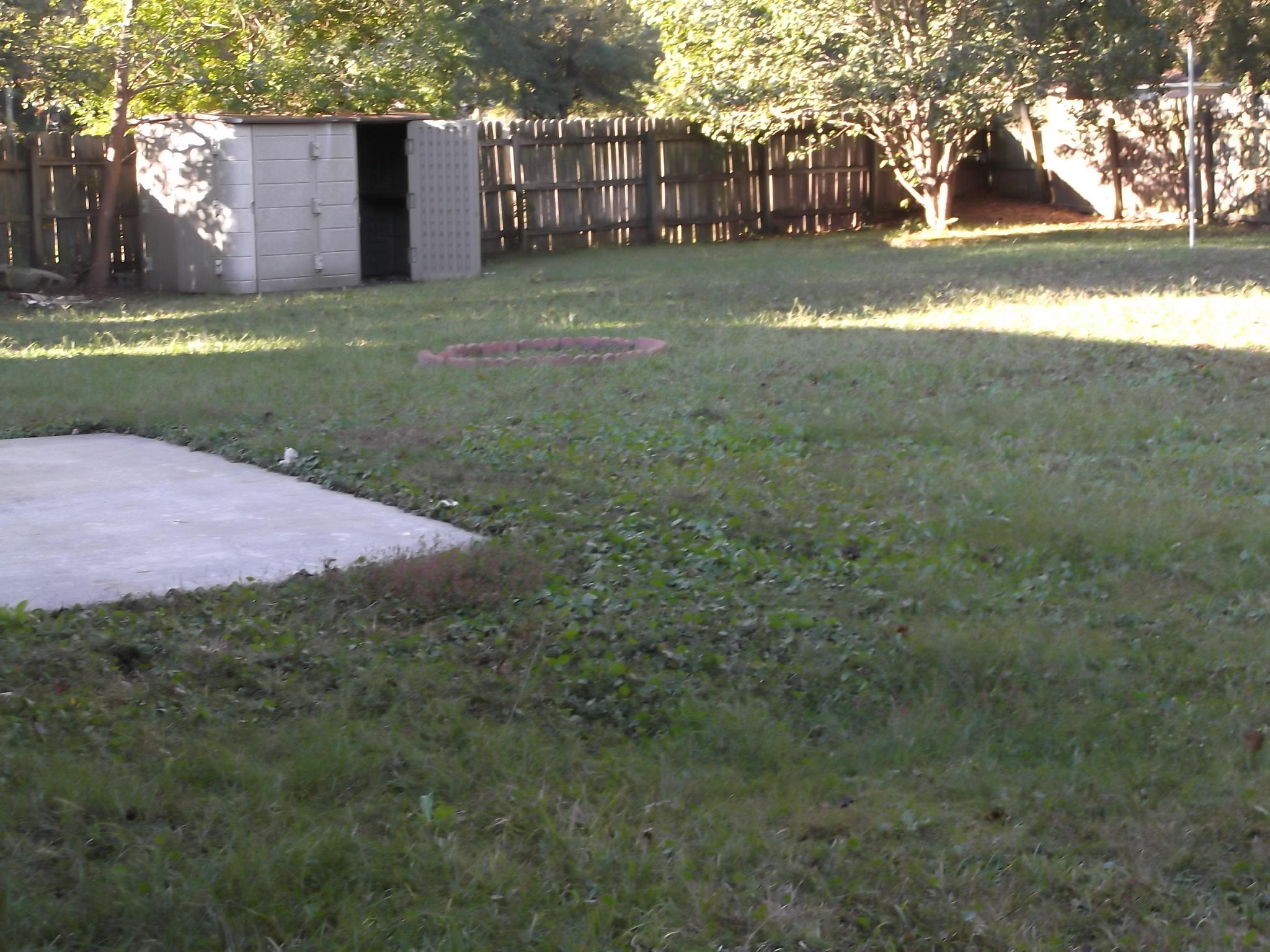 115 Nathan Road Summerville, SC 29486 - Photo 18 of 18 DSCF4541