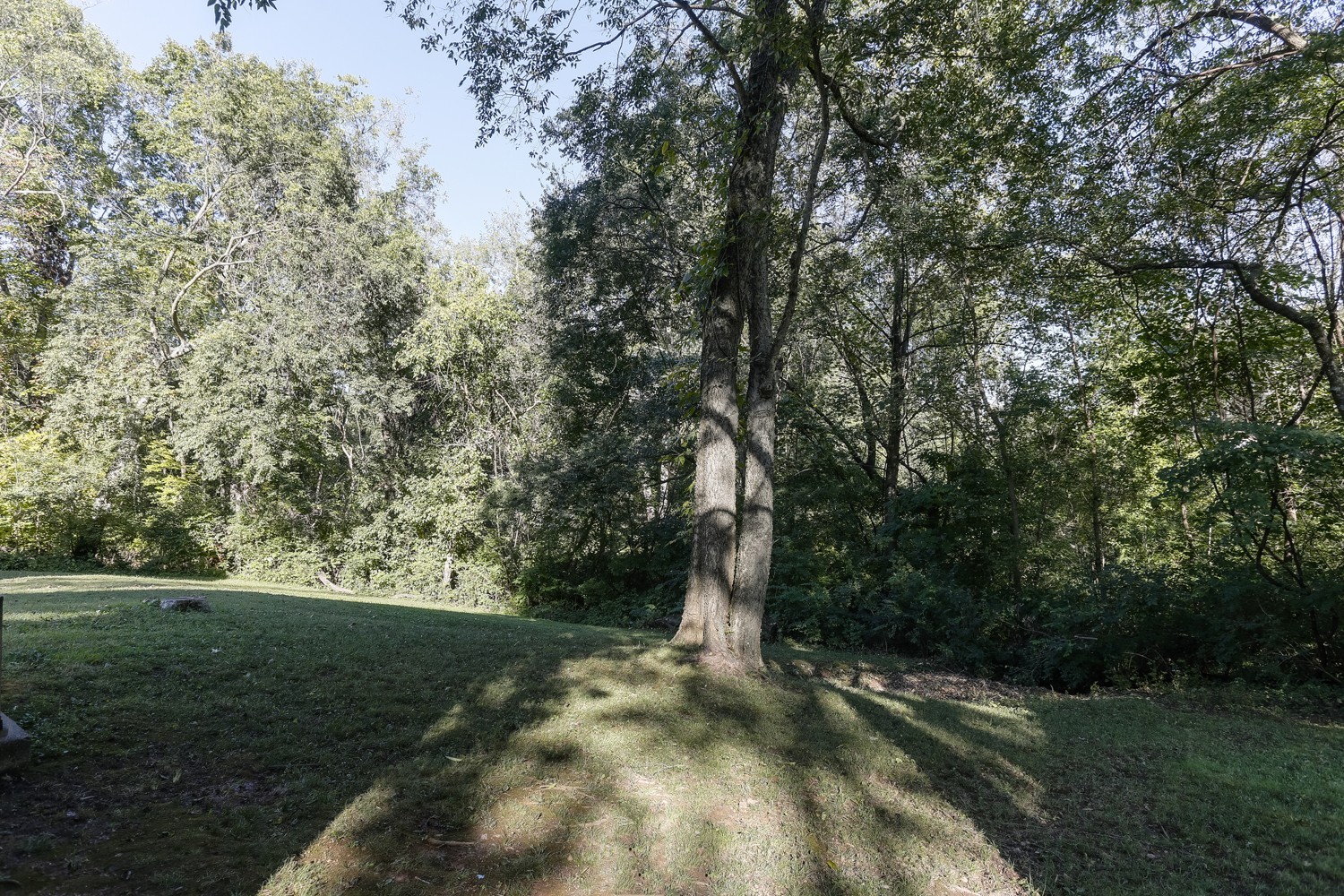 302 Durrett Street Springfield, TN 37172 - Photo 10 of 10 Gallery Image 10