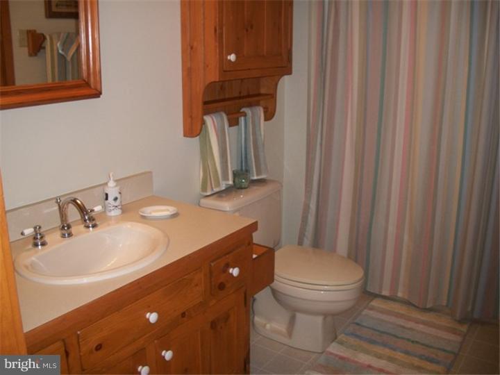 777 Gouglersville Road Sinking Spring, PA 19608 - Photo 12 of 25 Master Bathroom