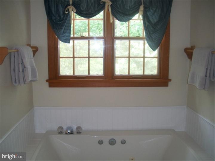 777 Gouglersville Road Sinking Spring, PA 19608 - Photo 13 of 25 Master Bathroom