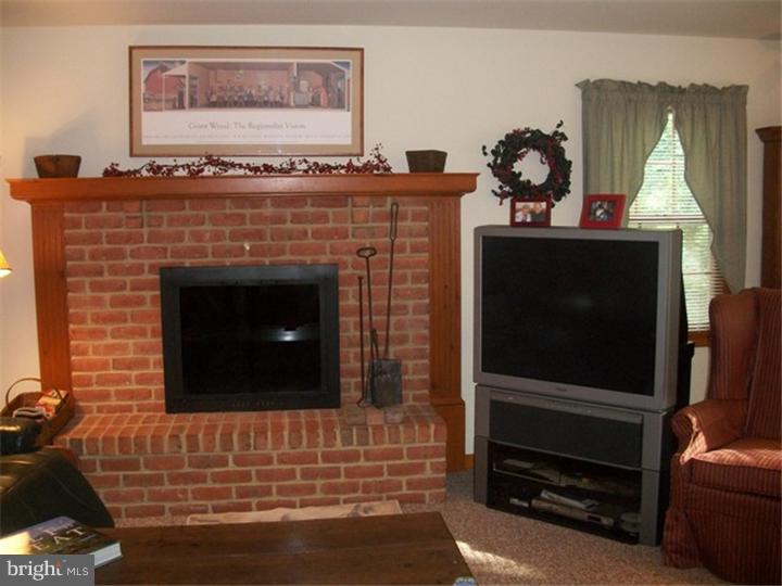 777 Gouglersville Road Sinking Spring, PA 19608 - Photo 5 of 25 Fireplace