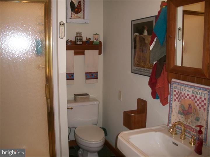 777 Gouglersville Road Sinking Spring, PA 19608 - Photo 7 of 25 Bathroom
