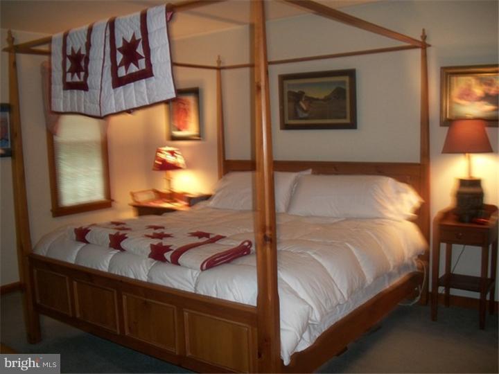 777 Gouglersville Road Sinking Spring, PA 19608 - Photo 8 of 25 Master Bedroom