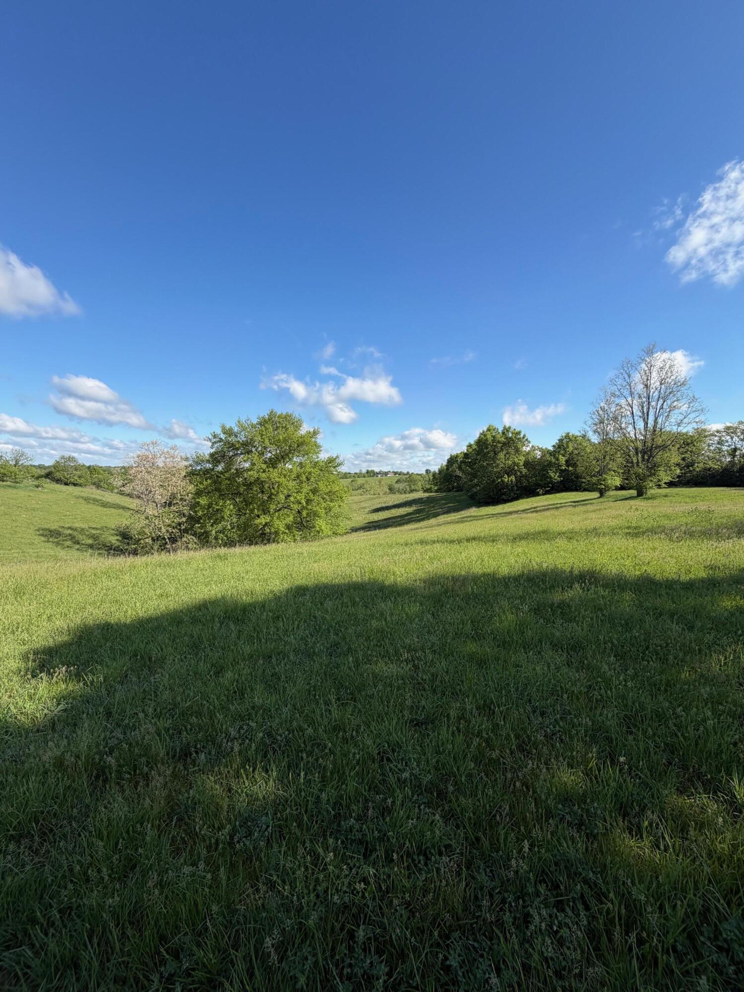 11.19-ac Chipman Ridge Road Williamstown, KY 41097 - Photo 10 of 12