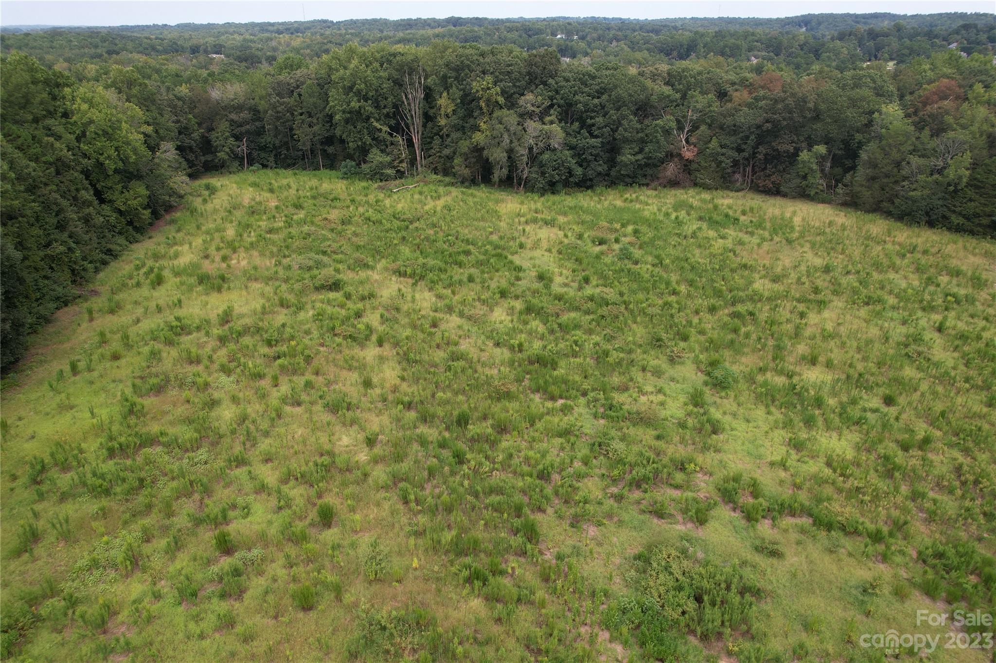 15025 June Washam Road Davidson, NC 28036 - Photo 8 of 10 Gallery Image 8