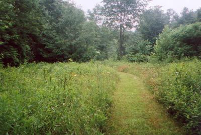 381 Rayborn Hill Road Liberty, KY 42539 - Photo 5 of 8 Photo 5