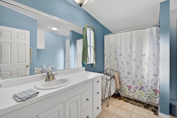 a view of a tree with lots of plants