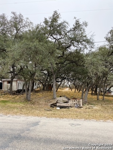 501 Waxwing Drive Poteet, TX 78065 - Photo 1 of 1