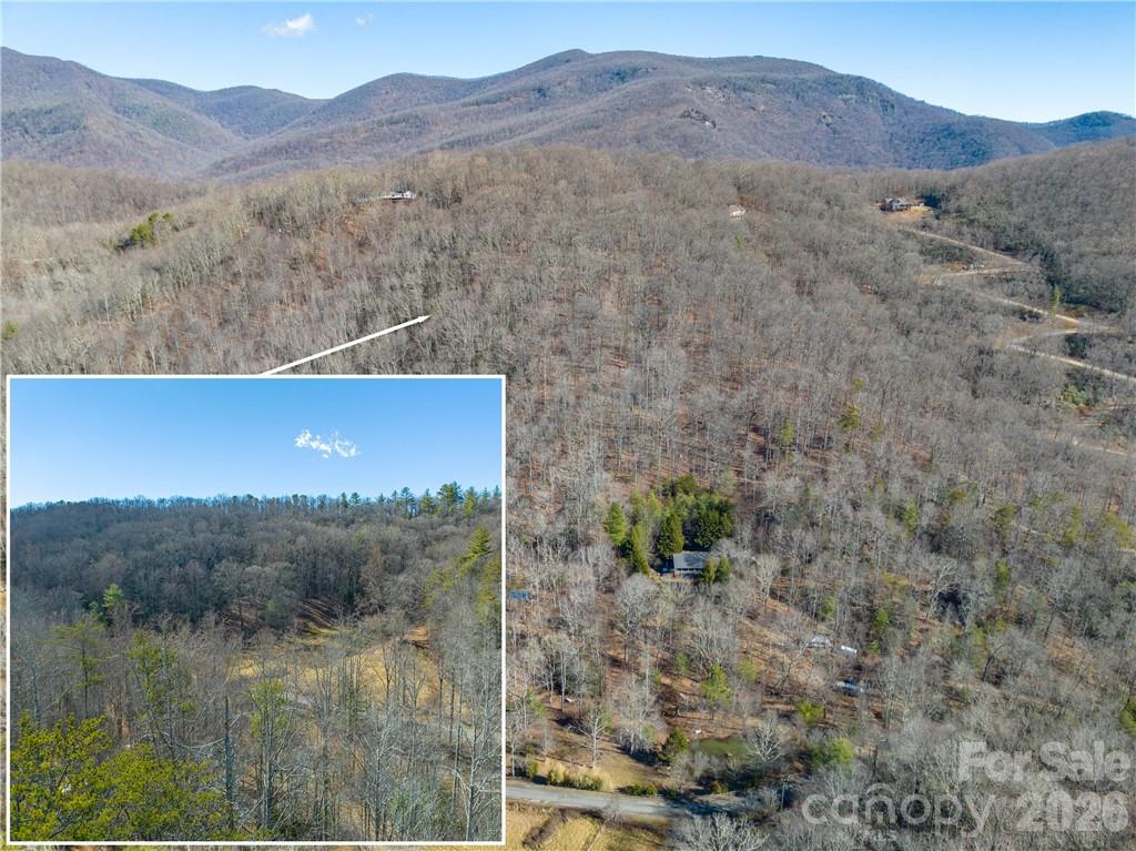 Tbd Long Branch Road Swannanoa, NC 28778 - Photo 7 of 18
