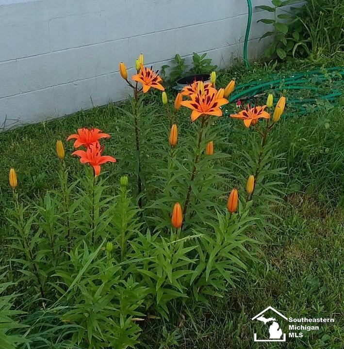 3635 Zink Road Carleton, MI 48117 - Photo 22 of 24 Gallery Image 22