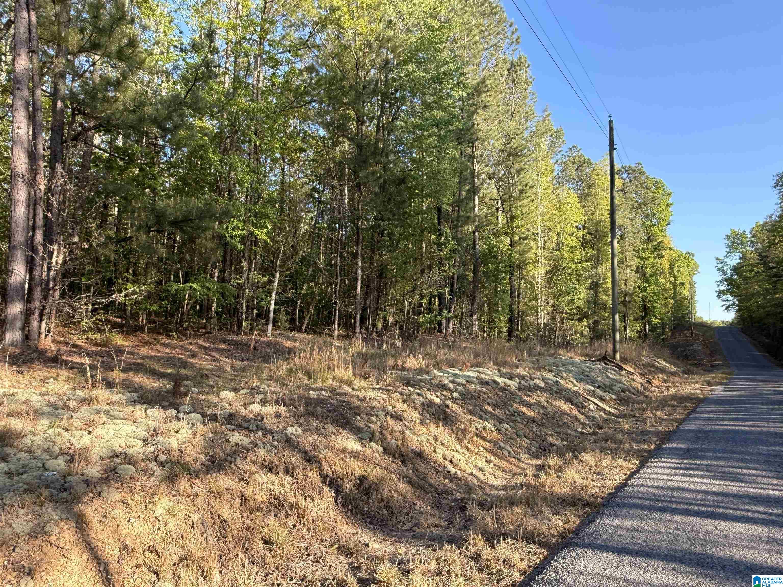 0 Piney Woods Road, Unit 3 Vincent, AL 35178 - Photo 13 of 16
