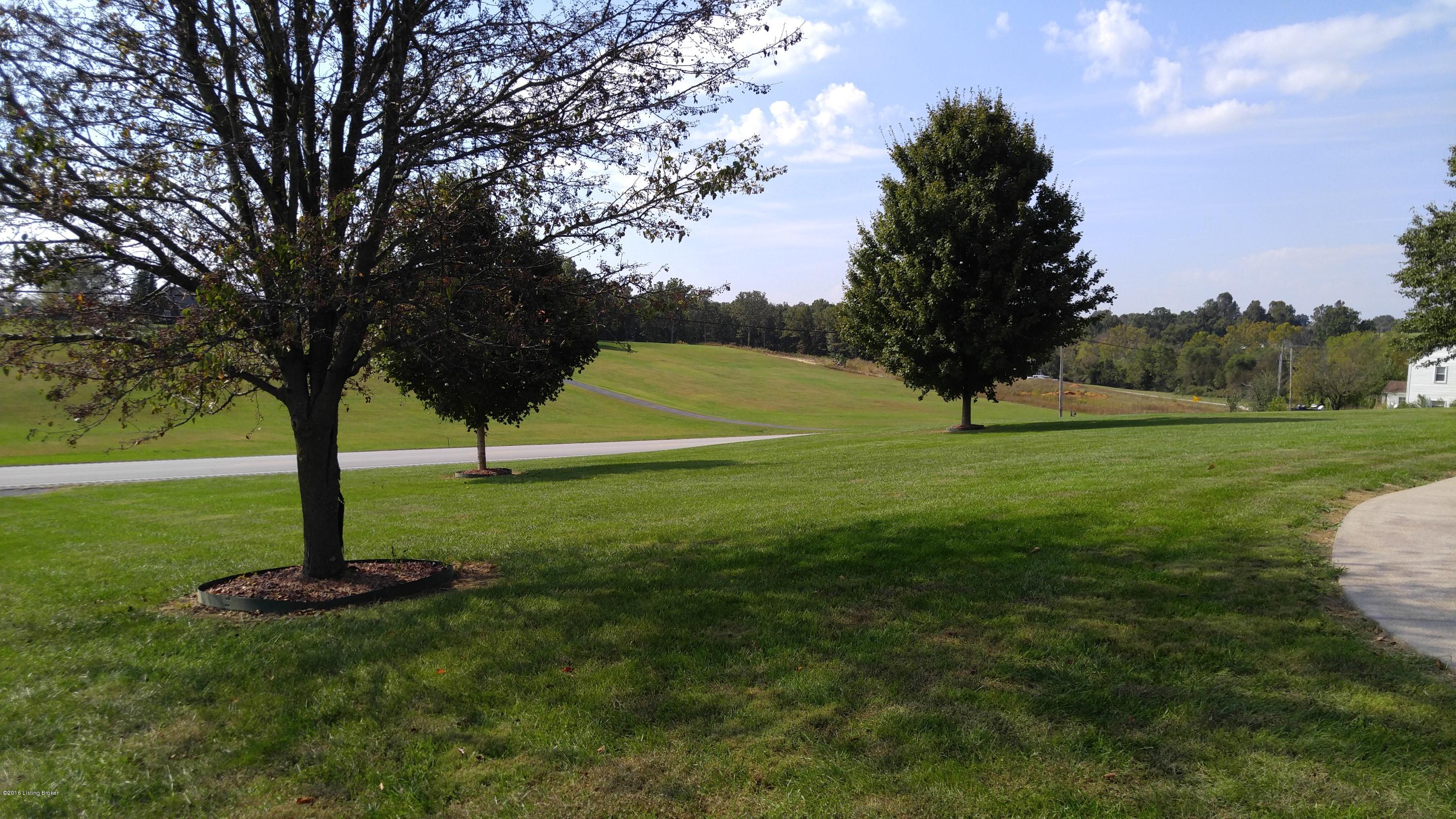 5780 Springfield Road Bardstown, KY 40004 - Photo 39 of 118 Gorgeous View out Front
