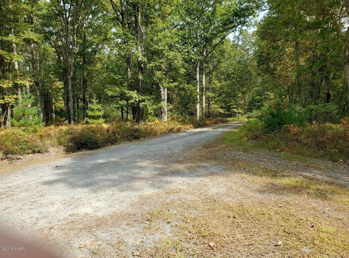 225 Engvaldsen Road Hawley, PA 18428 - Photo 8 of 40 2driveway