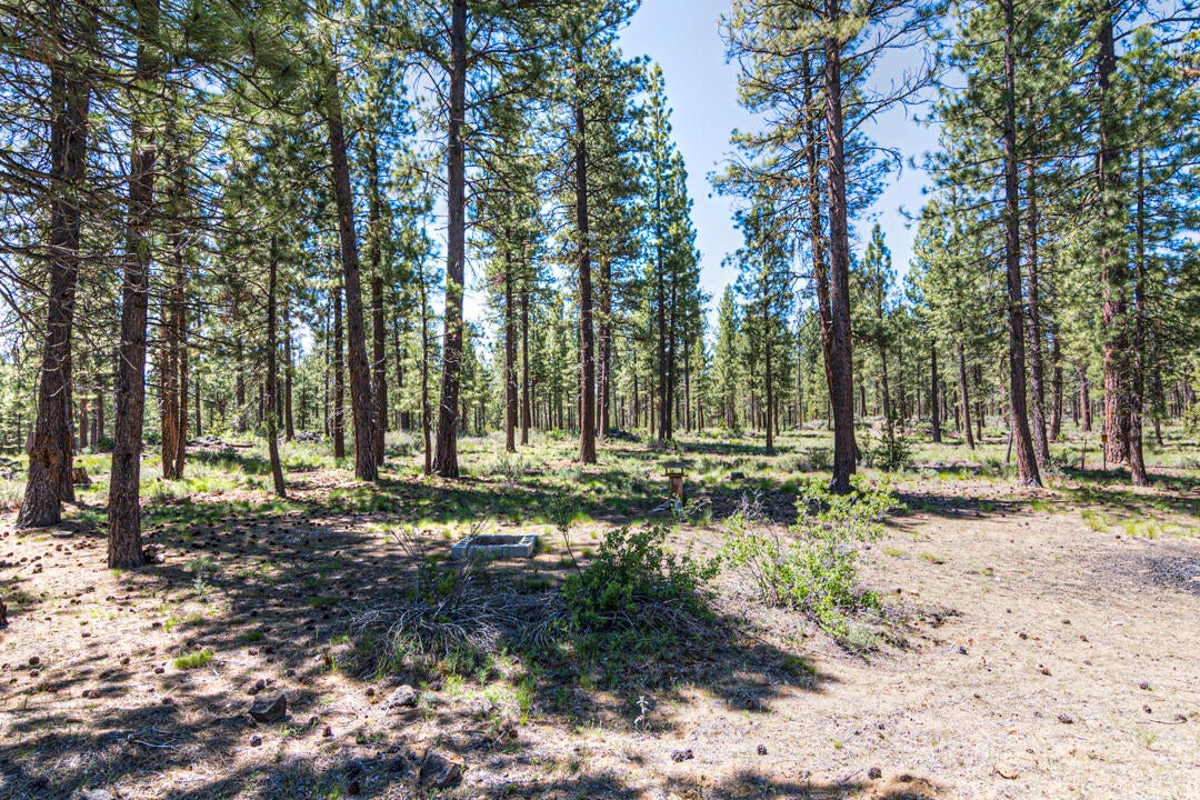 16939 Jacinto Road Bend, OR 97707 - Photo 6 of 83 Jacinto Rd 16939 (6 of 41)