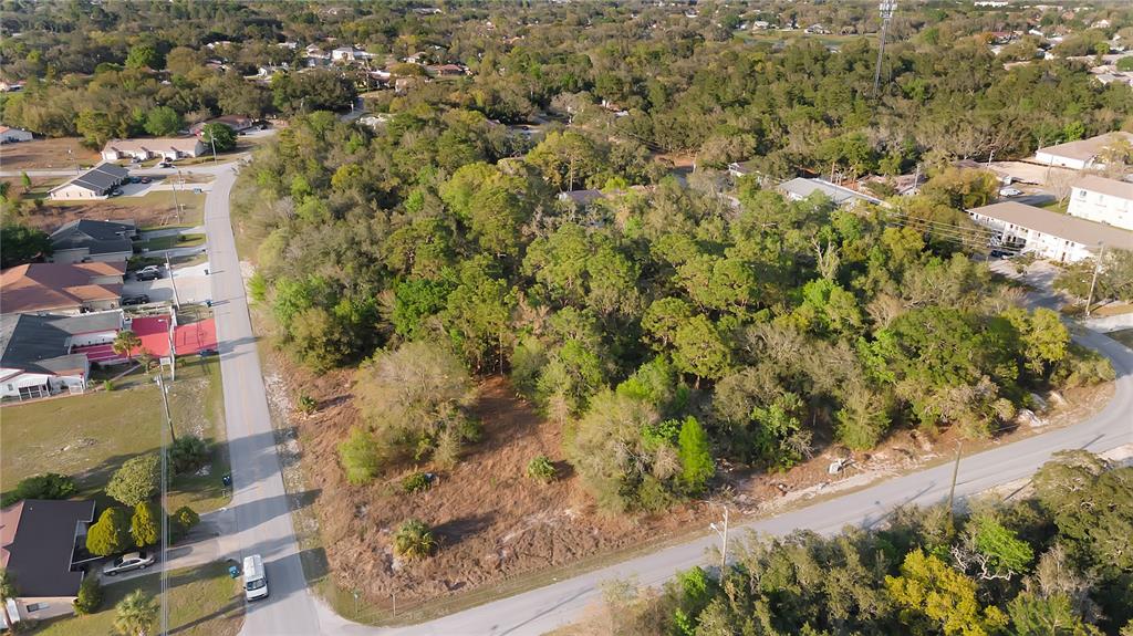 7361 Pond Circle Spring Hill, FL 34606 - Photo 3 of 10